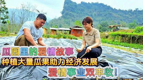 吃瓜恋爱故事在线听免费,一场在线听免费吃瓜恋爱故事